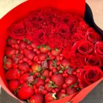 491c5cfd 918a 4f66 b2d4 f240c55e3aae