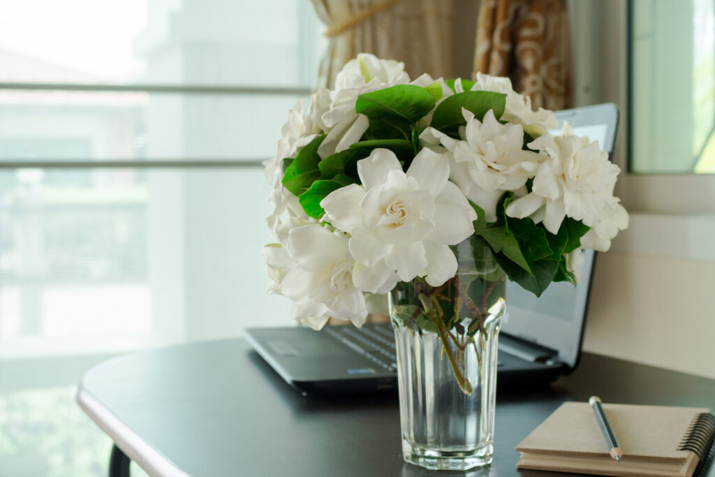Gardenia,Bouquet,In,Vase,On,The,Table,With,Laptop,Computer,