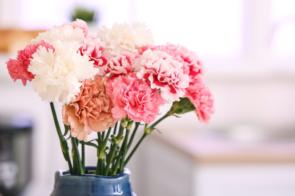 Vase,With,Beautiful,Carnations,In,Kitchen